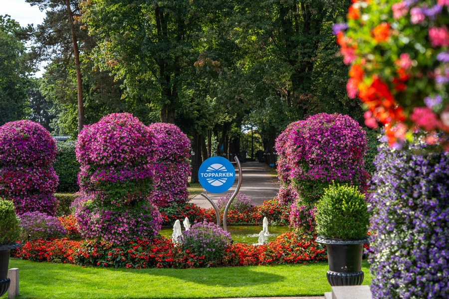 Landgoed de Scheleberg